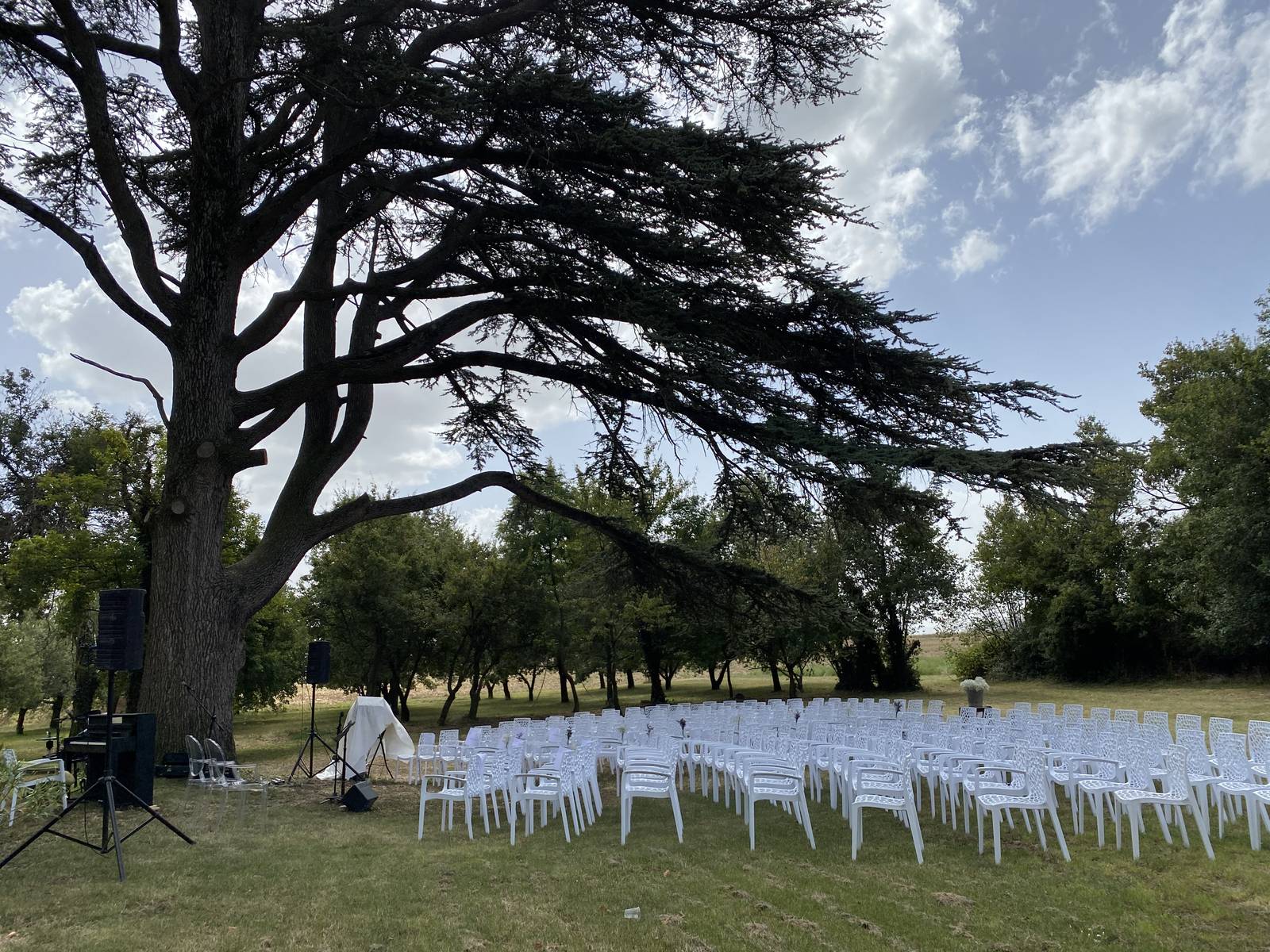 Les chaises d’une cérémonie installées au pied du grand cèdre