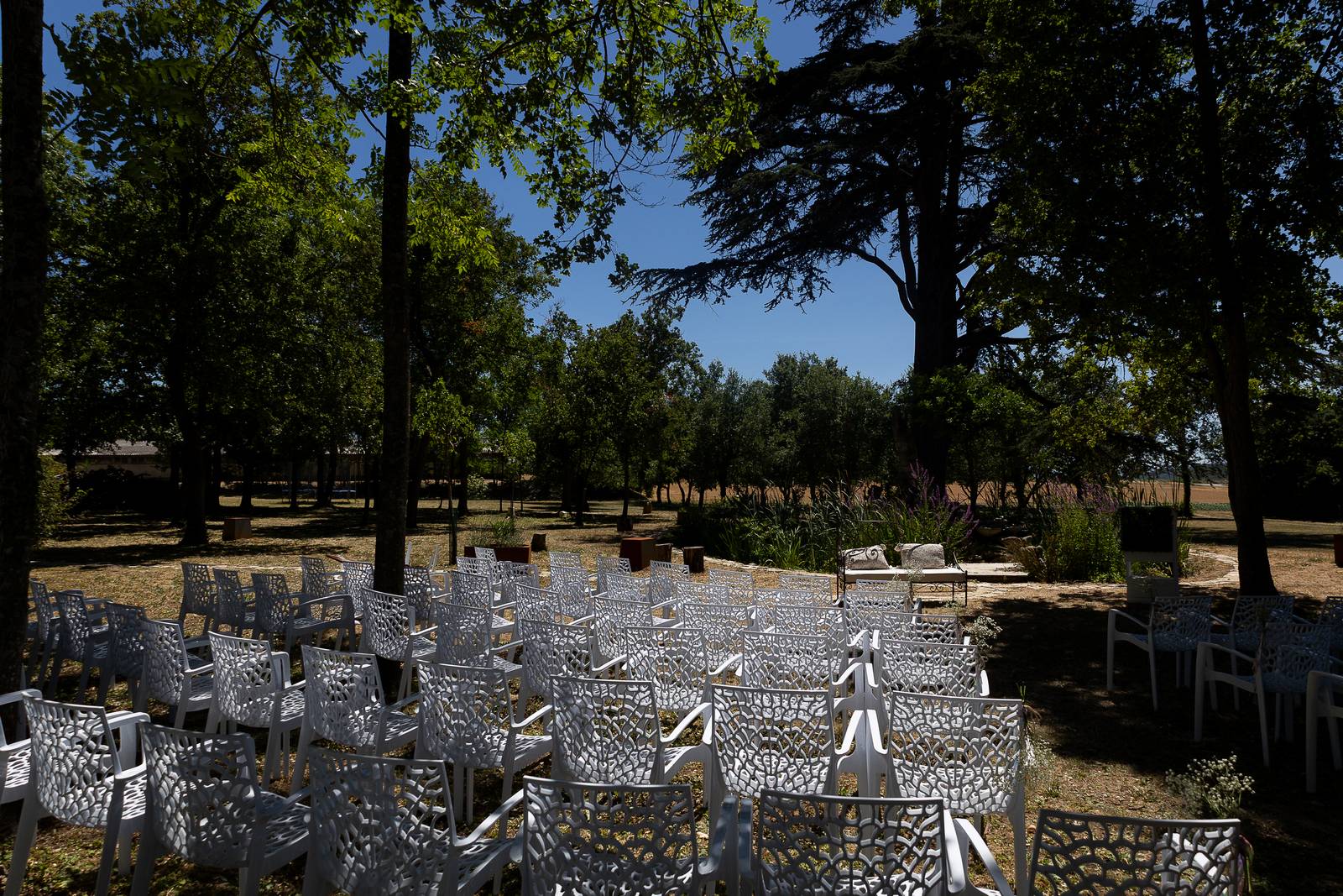 Le parc et ses grands arbres