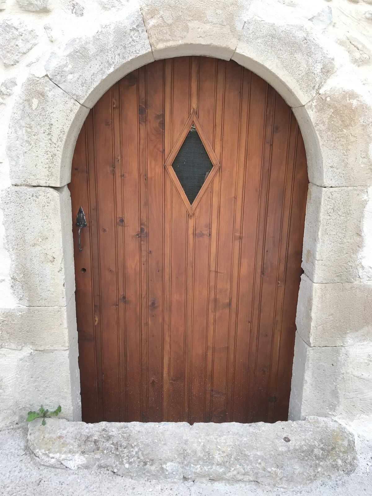 An arched wooden door in its stone frame
